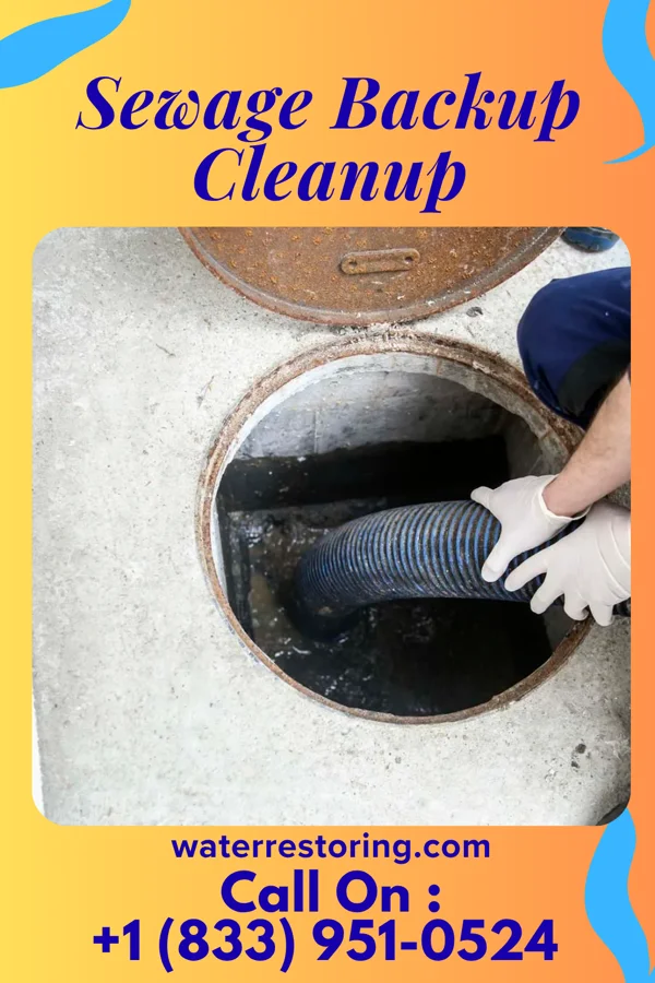 Sewage Backup Cleanup in Sugar Grove, OH