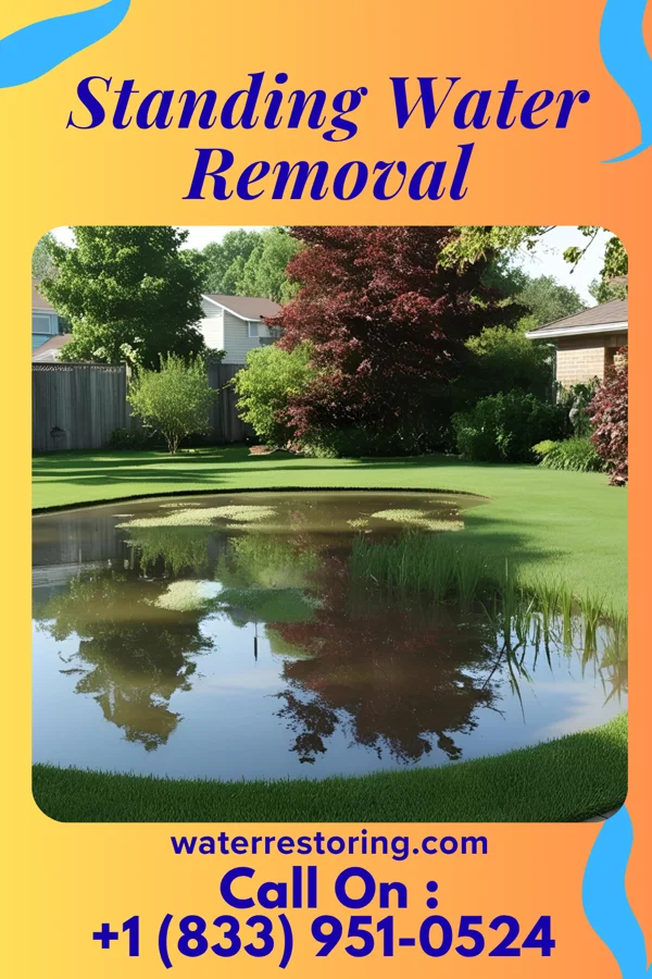 Standing Water Removal in Sugar Grove, OH